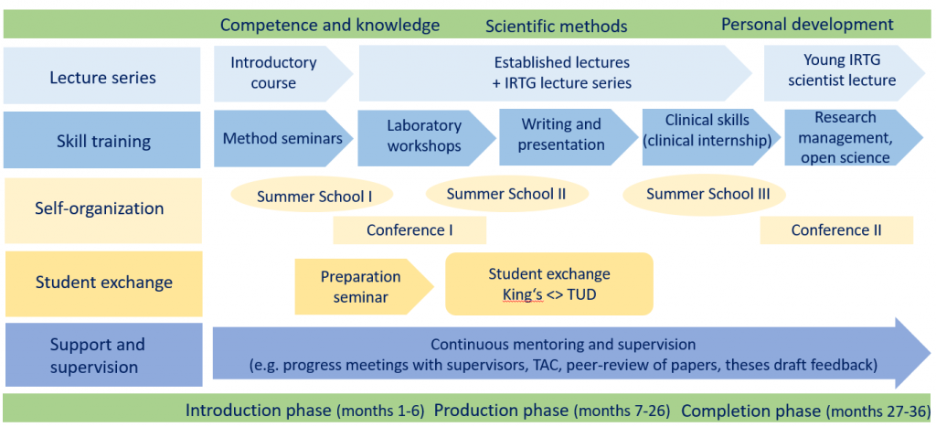 diagram showing the curriculum for the international research training group